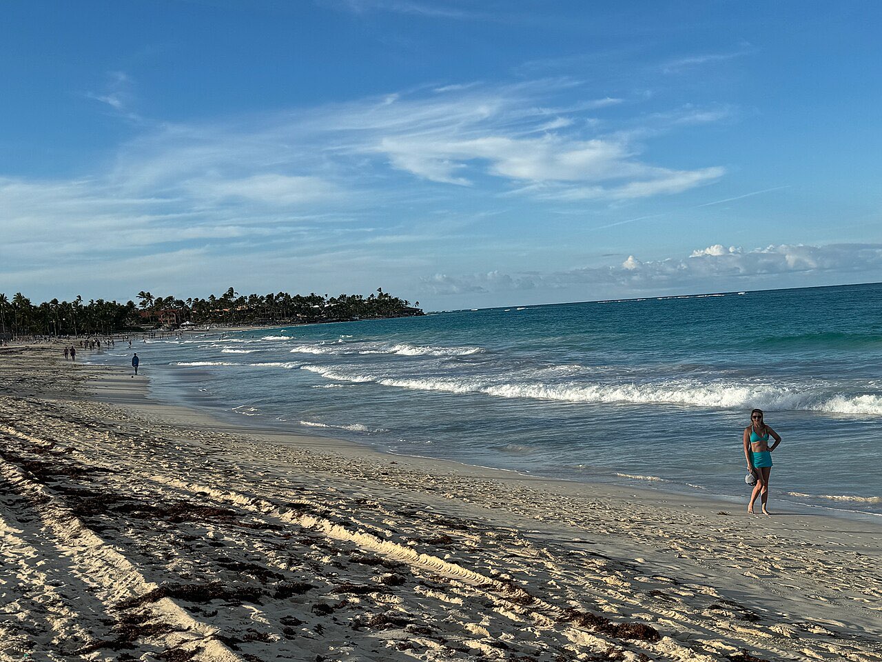 A stretch of beach at Bavaro with a line of dark seaweed washed up along the high-tide mark