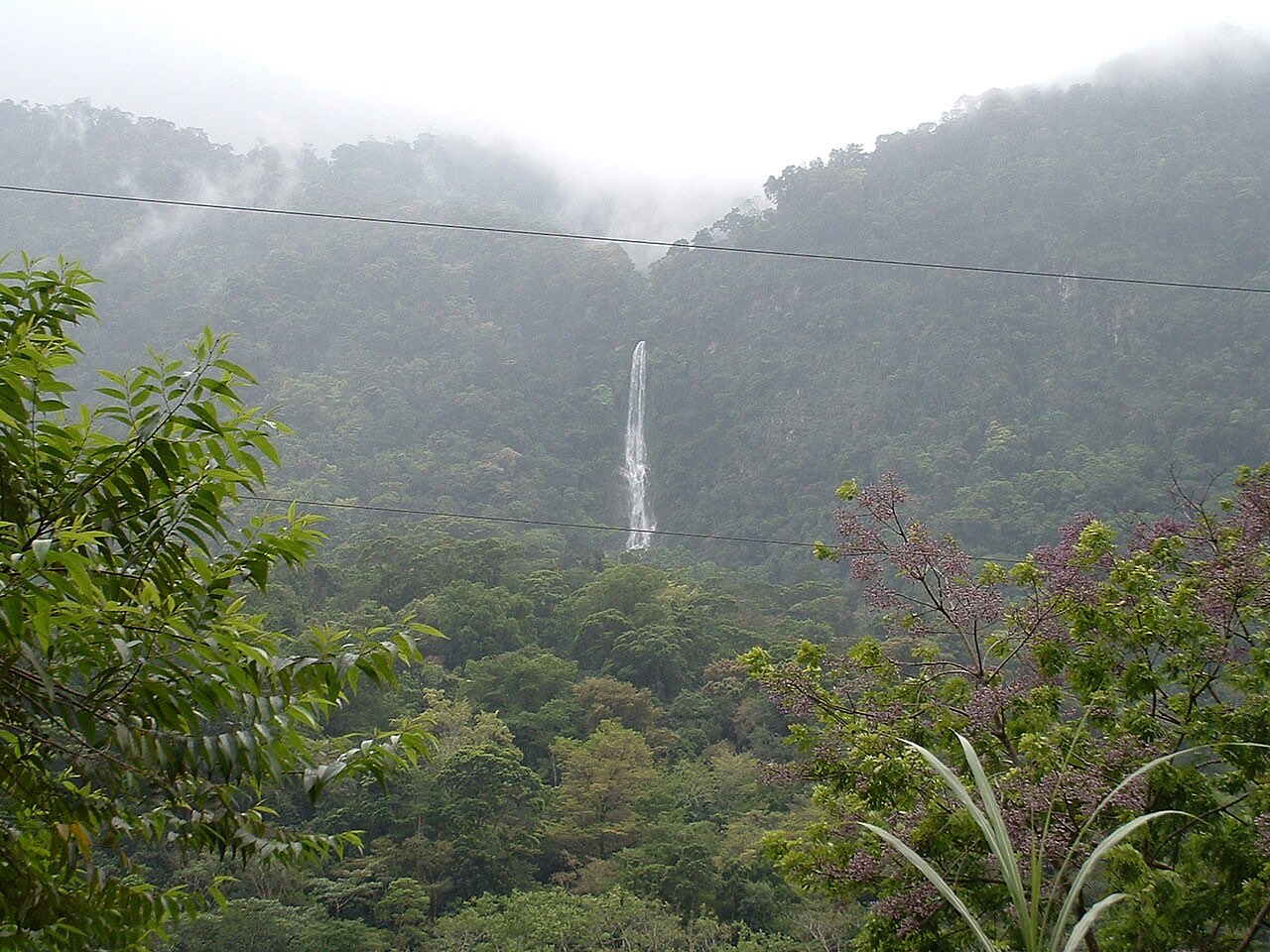 A tall thin waterfall falling through dense green forest on a cloud-covered mountainside above the Cangrejal valley